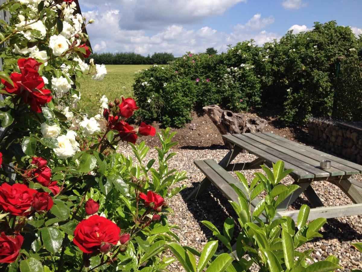 Familienfreundliche Ferienwohnung Am Reuterteich Seedorf  エクステリア 写真